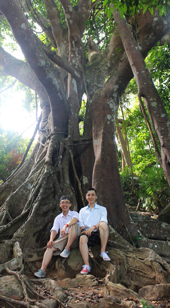 320fileminimizer_zpsvrankg4k