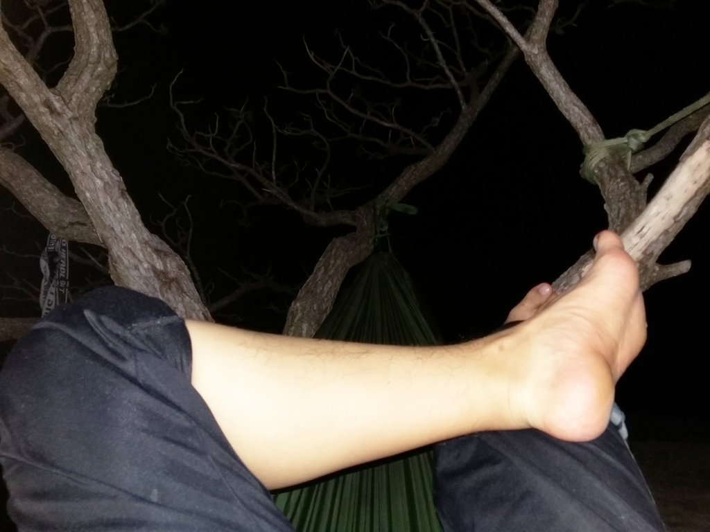 1520fileminimizer_zpsmsyehils