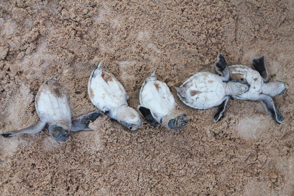 1920fileminimizer_zpso9njck1w