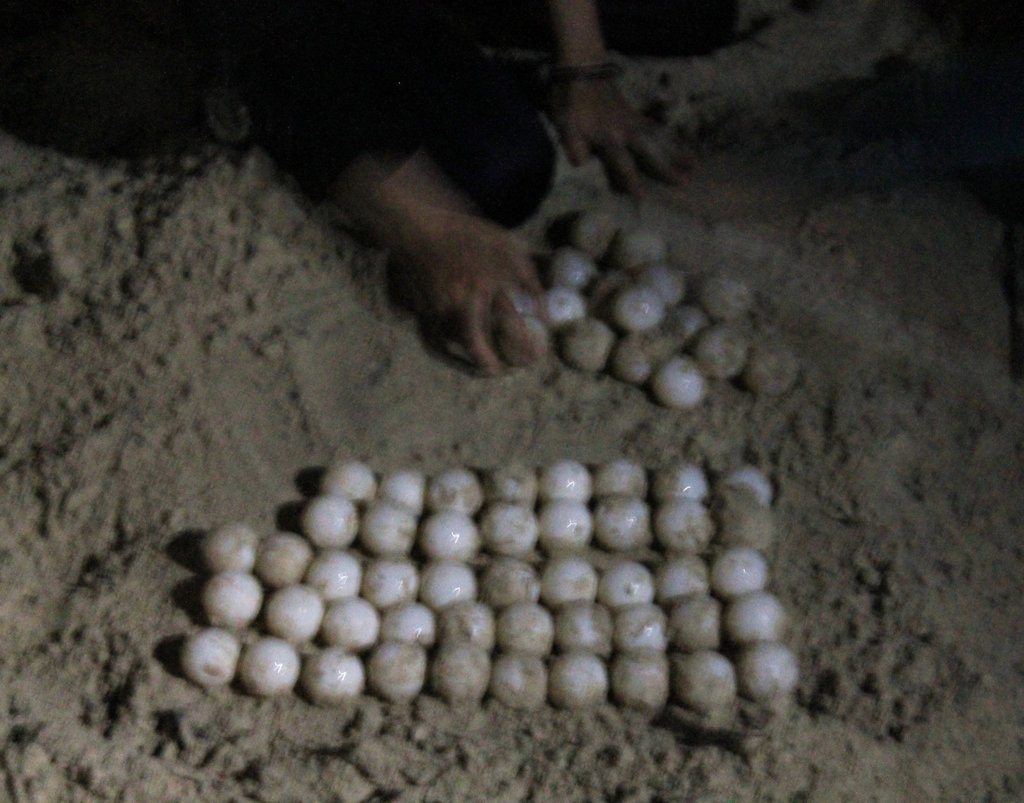 220fileminimizer_zps5ek8st4v