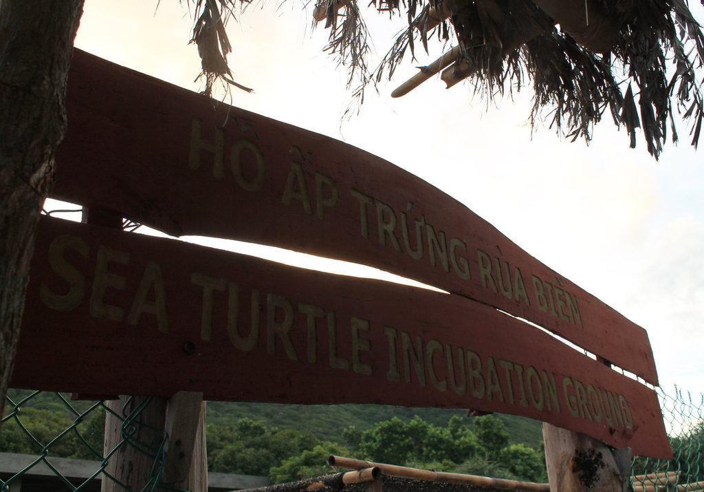 2a20fileminimizer_zpsjyytyfga