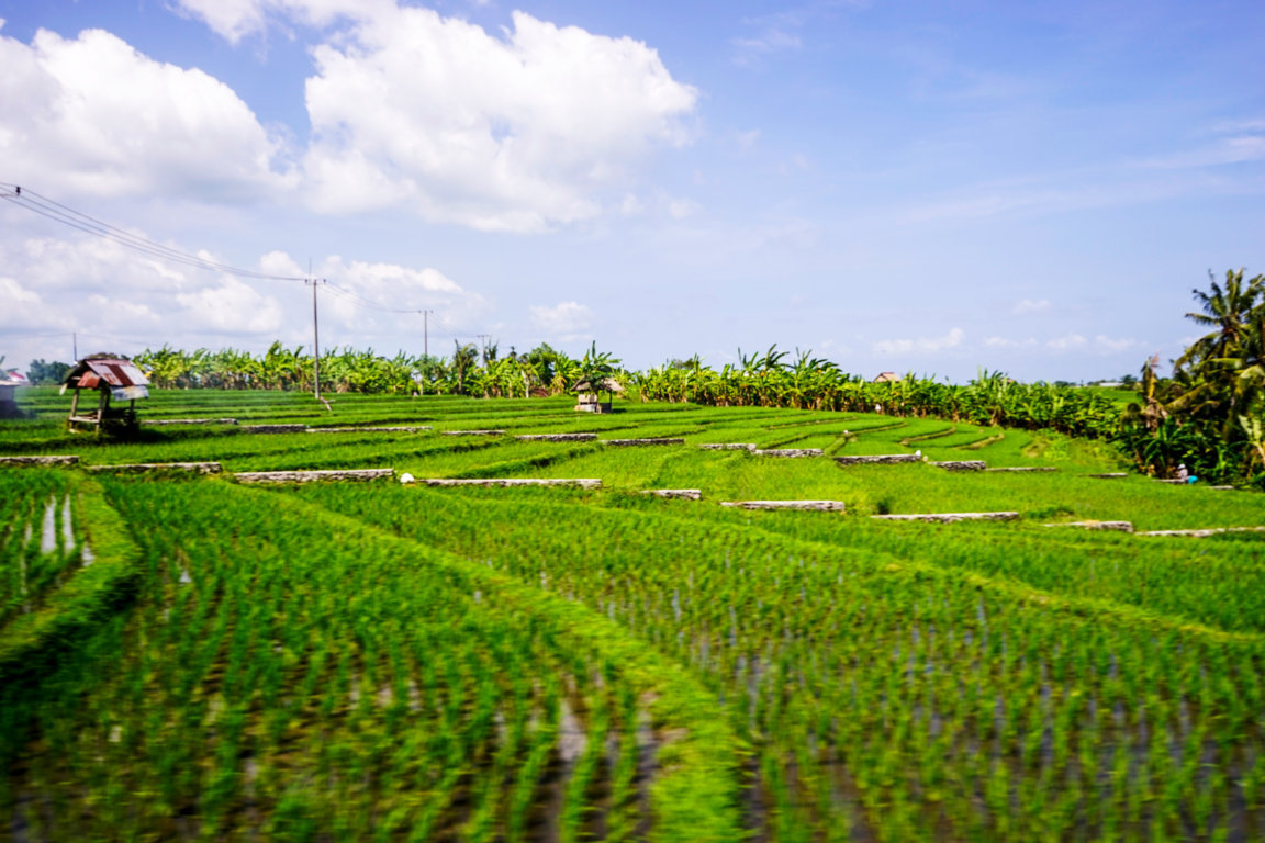 _DSC2274 (FILEminimizer)