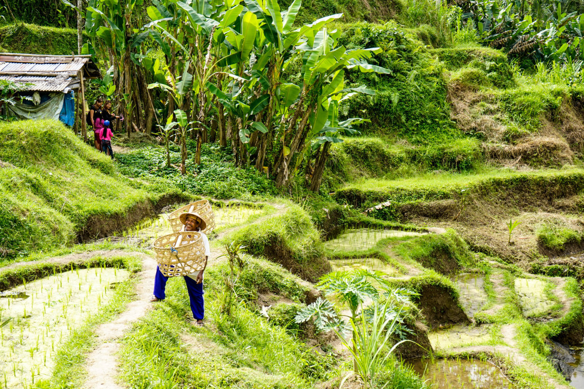 _DSC2648 (FILEminimizer)