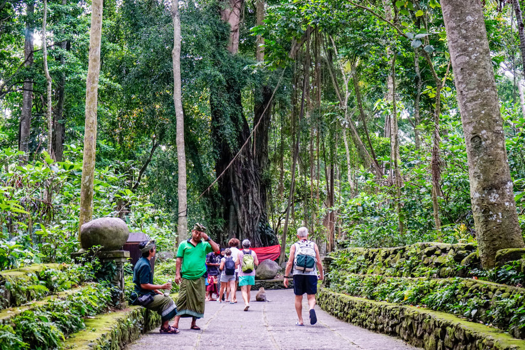 dsc266420fileminimizer_zpsuulibduv